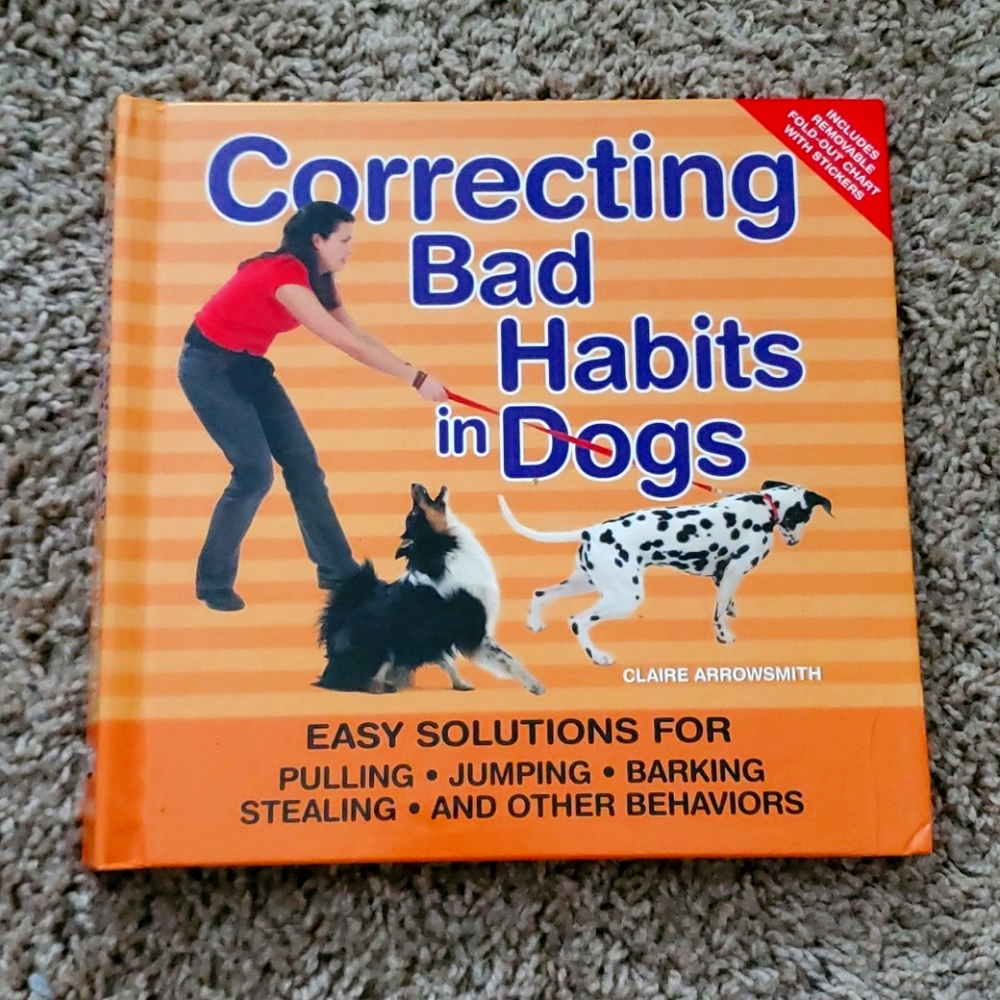 Correcting bad habits in Dogs